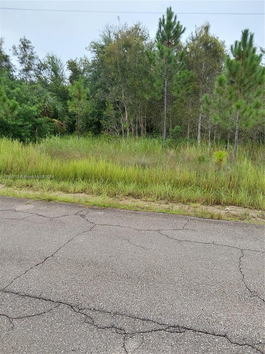 Prime Residential Lot in Lehigh Acres - Half-acre vacant lot. This lot offers the ideal setting to build your dream home. You are surrounded by well-maintained homes, an excellent location for families or individuals seeking tranquility and convenience. With quick access to major roads, commuting to nearby cities is a breeze. Priced to sell, this vacant lot represents a fantastic opportunity to own a piece of Florida's land.