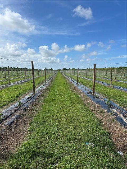 Photo of N 280, Homestead, FL 33033 (MLS # A11822395)