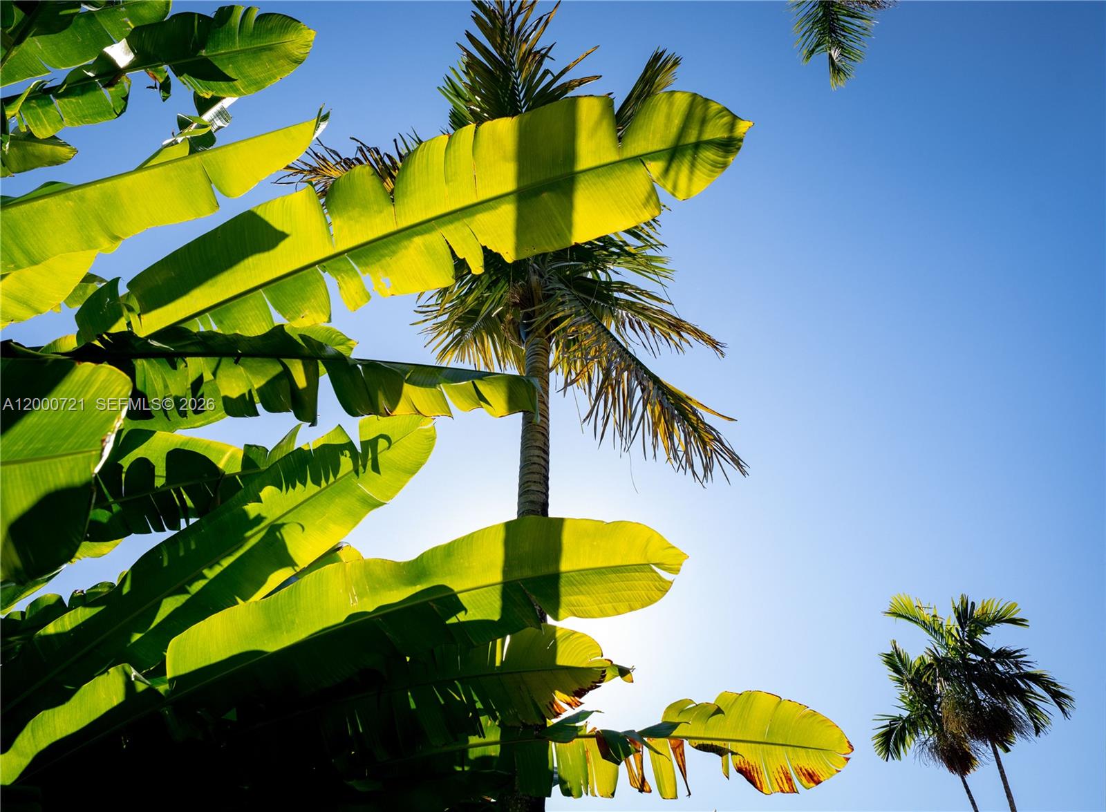 COCOA PLUM HEIGHTS SUB - Land