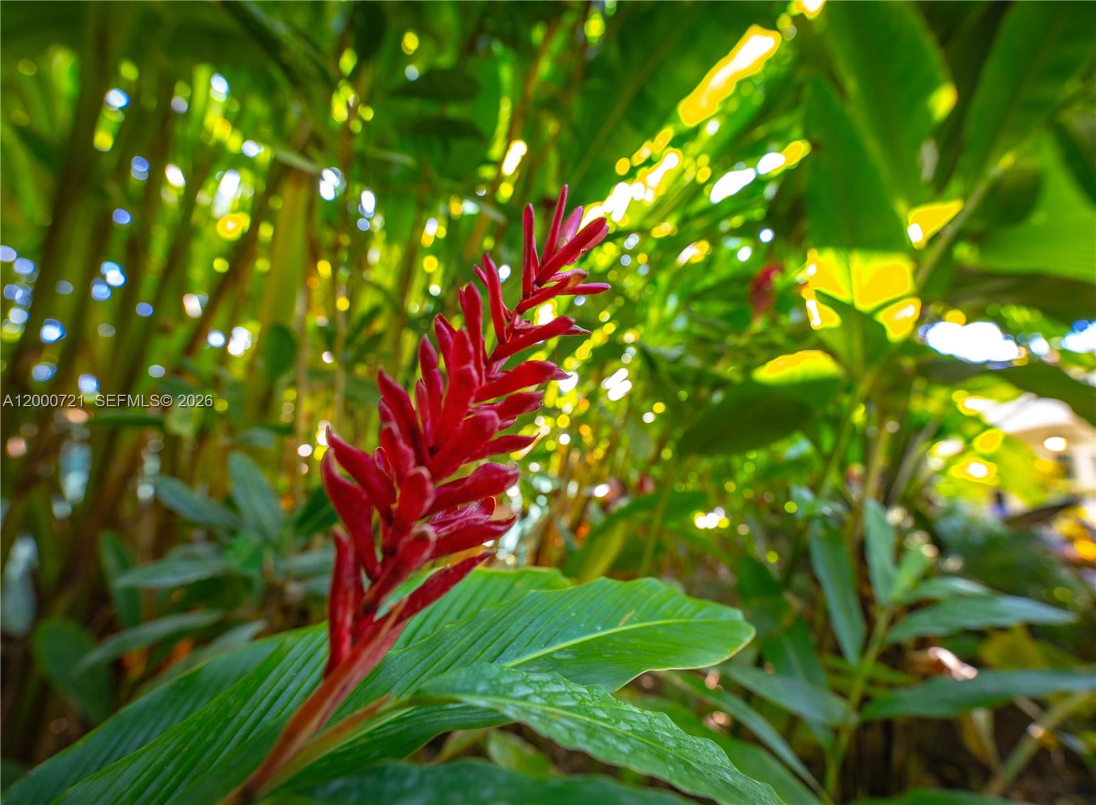 COCOA PLUM HEIGHTS SUB - Land