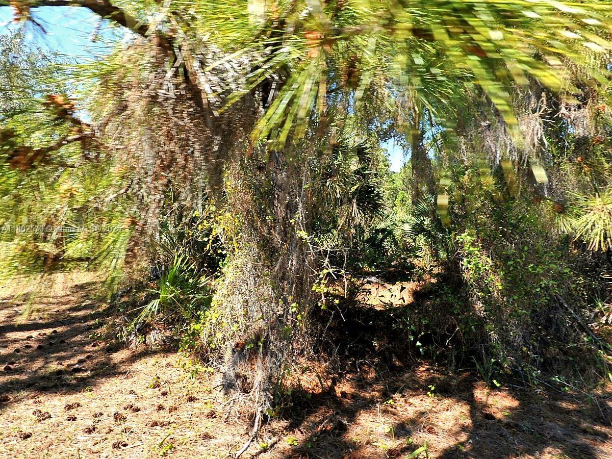 LOT 1 BLK 1746 34TH ADD TO - Land