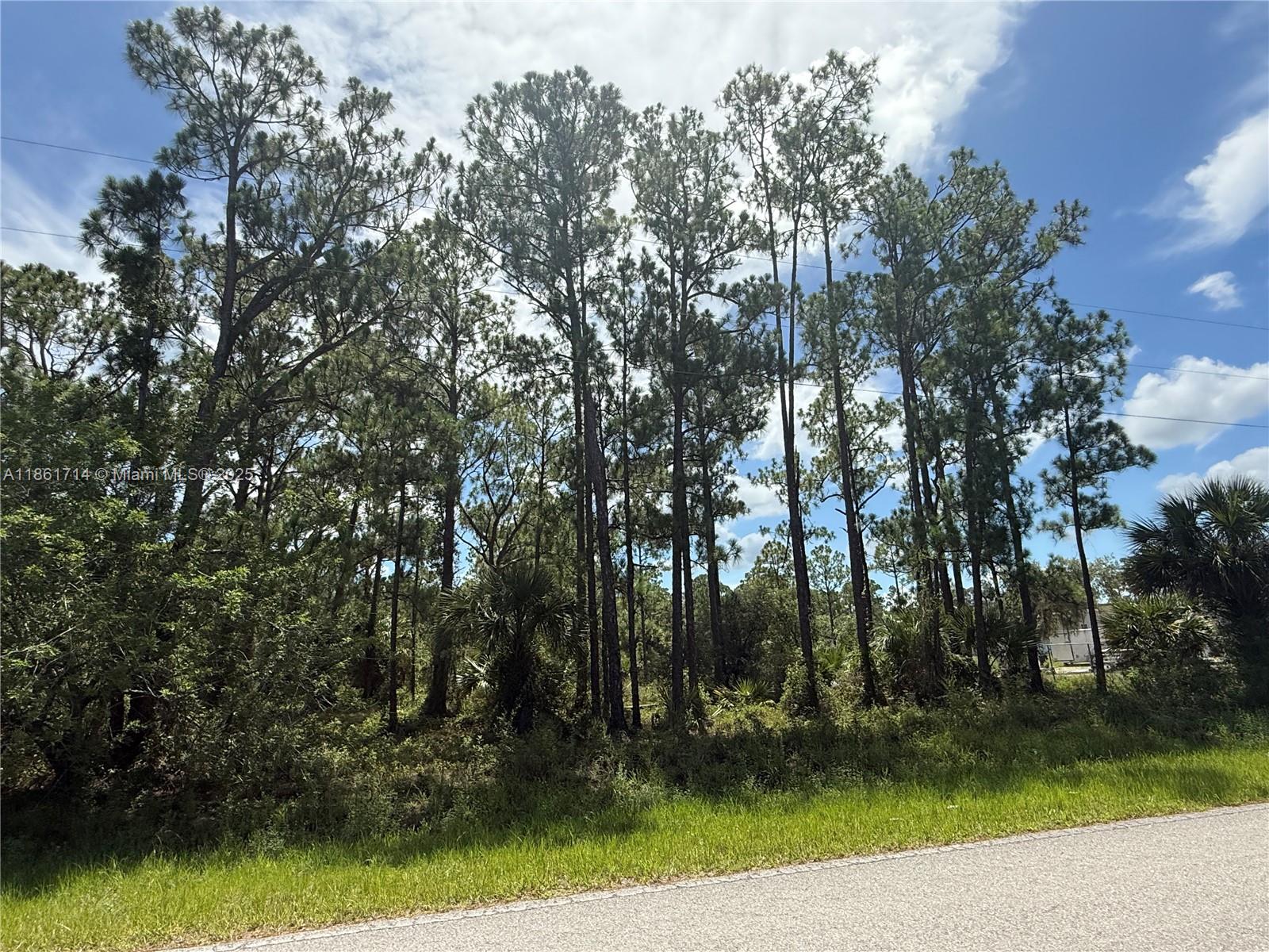 1.09 ACRES GREAT LOCATION AT A MAIN PAVED ROAD IN THE NORTH OF MONTURA RANCH ESTATES, SEMI-CLEARED, HIGH AND DRY LOT!! PRICE TO SELL FAST!! BEST OPTION IN THE MARKET! NO WETLAND! GREAT INVESTMENT OPPORTUNITY! YOU CAN BUILD YOUR DREAM HOUSE OR INSTALL YOUR MOBILE HOME ENDLESS POSSIBILITIES!!! YOU CAN HAVE YOUR WEEKEND GETAWAY FROM THE CITY, JUST 65 MILES FROM WESTON, 90 MILES FROM MIAMI, YOU CAN HAVE YOUR FARM ANIMALS AND ENJOY THE CAMP STYLE OF MONTURA RANCH ESTATE YOU CAN GO DIRECTLY TO THE PROPERTY AND CALL ME OR TEXT ME IF YOU NEED ANY EXTRA INFORMATION