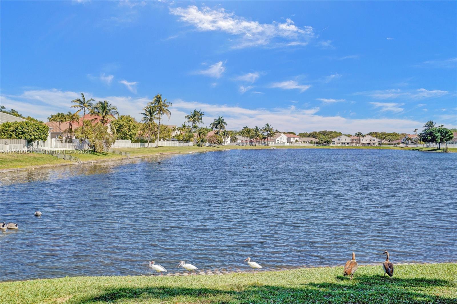 BANYAN OAKRIDGE PLAT - Residential
