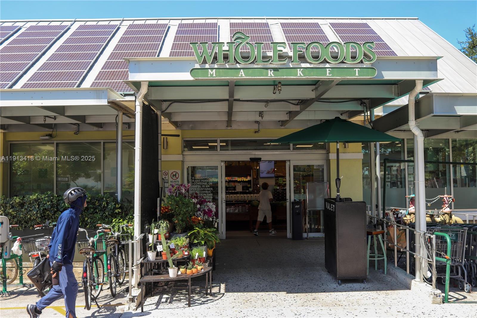 APOLLO CONDO - Residential