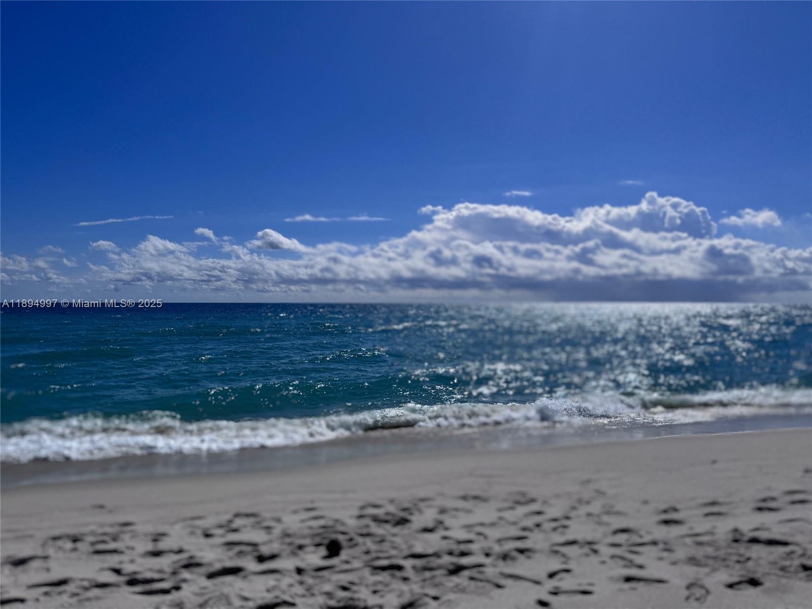 LE TRIANON CONDO - Residential Lease