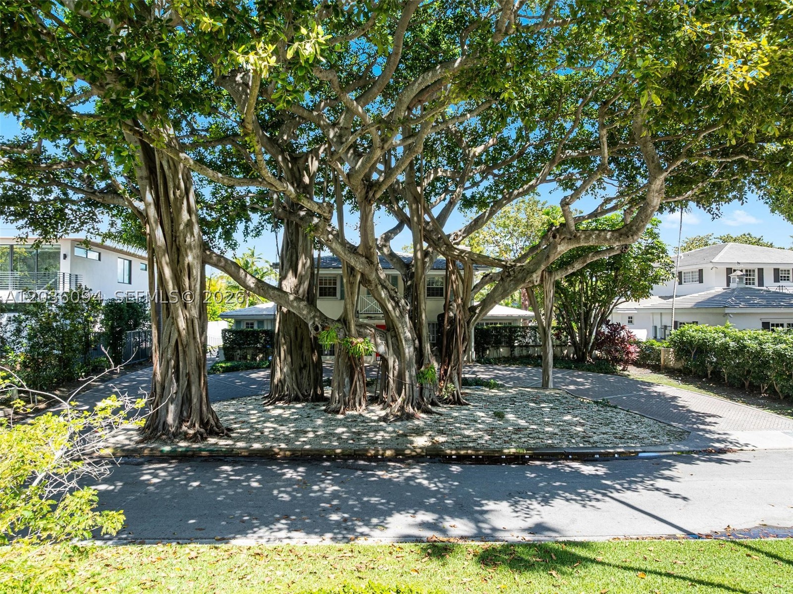 655 Buttonwood Ln