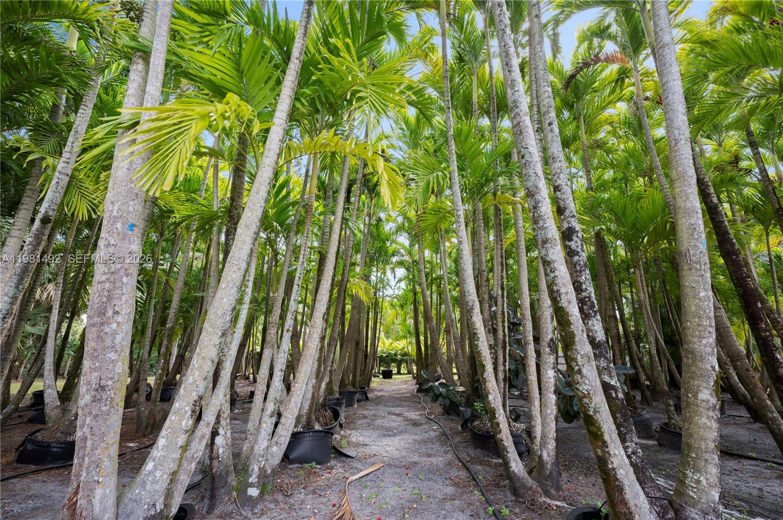 Jupiter Farms - Residential