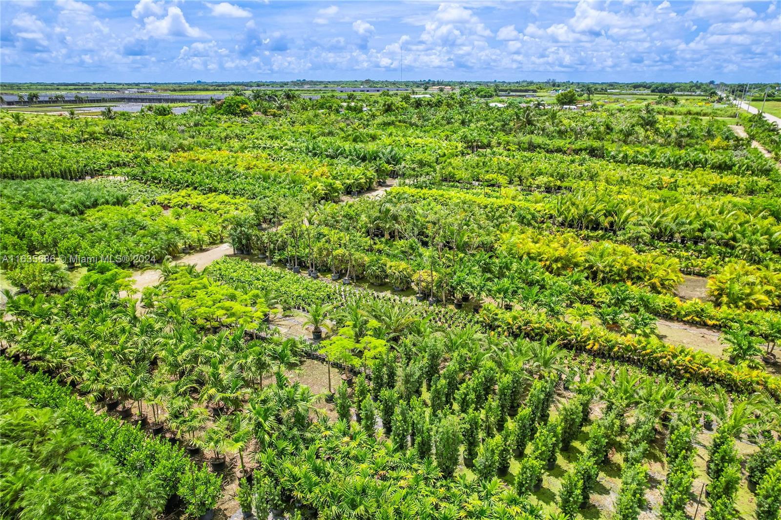 15 ACRES - Commercial Sale