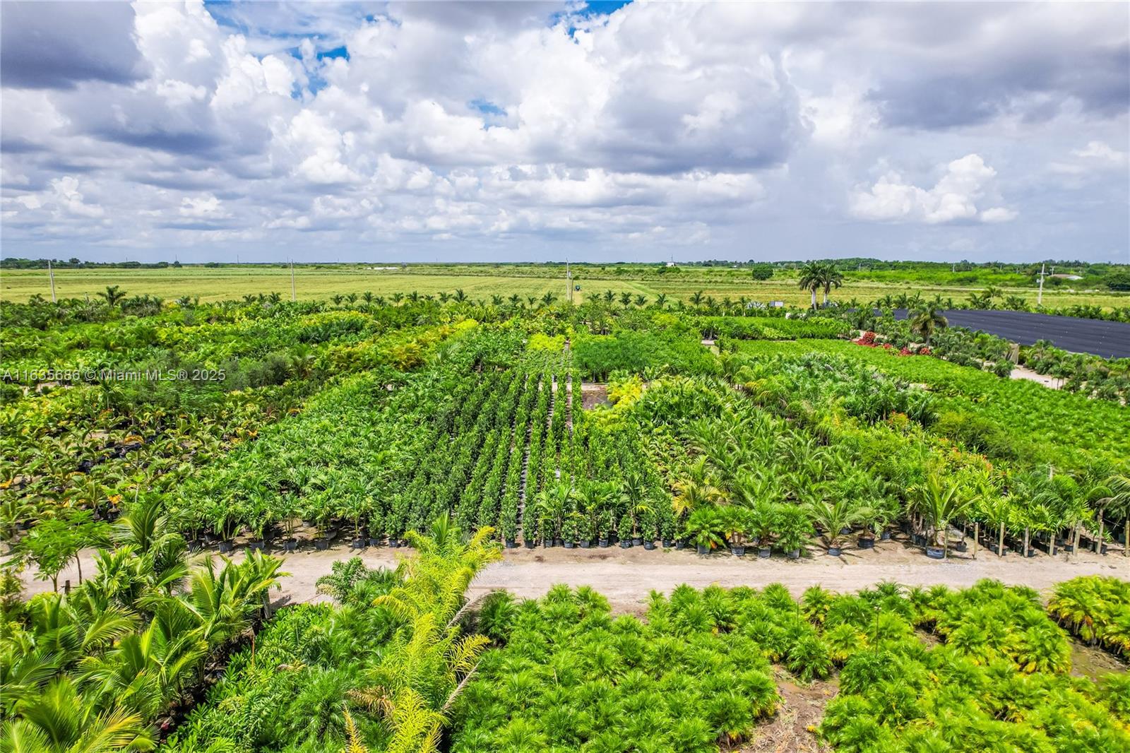 15 ACRES - Commercial Sale