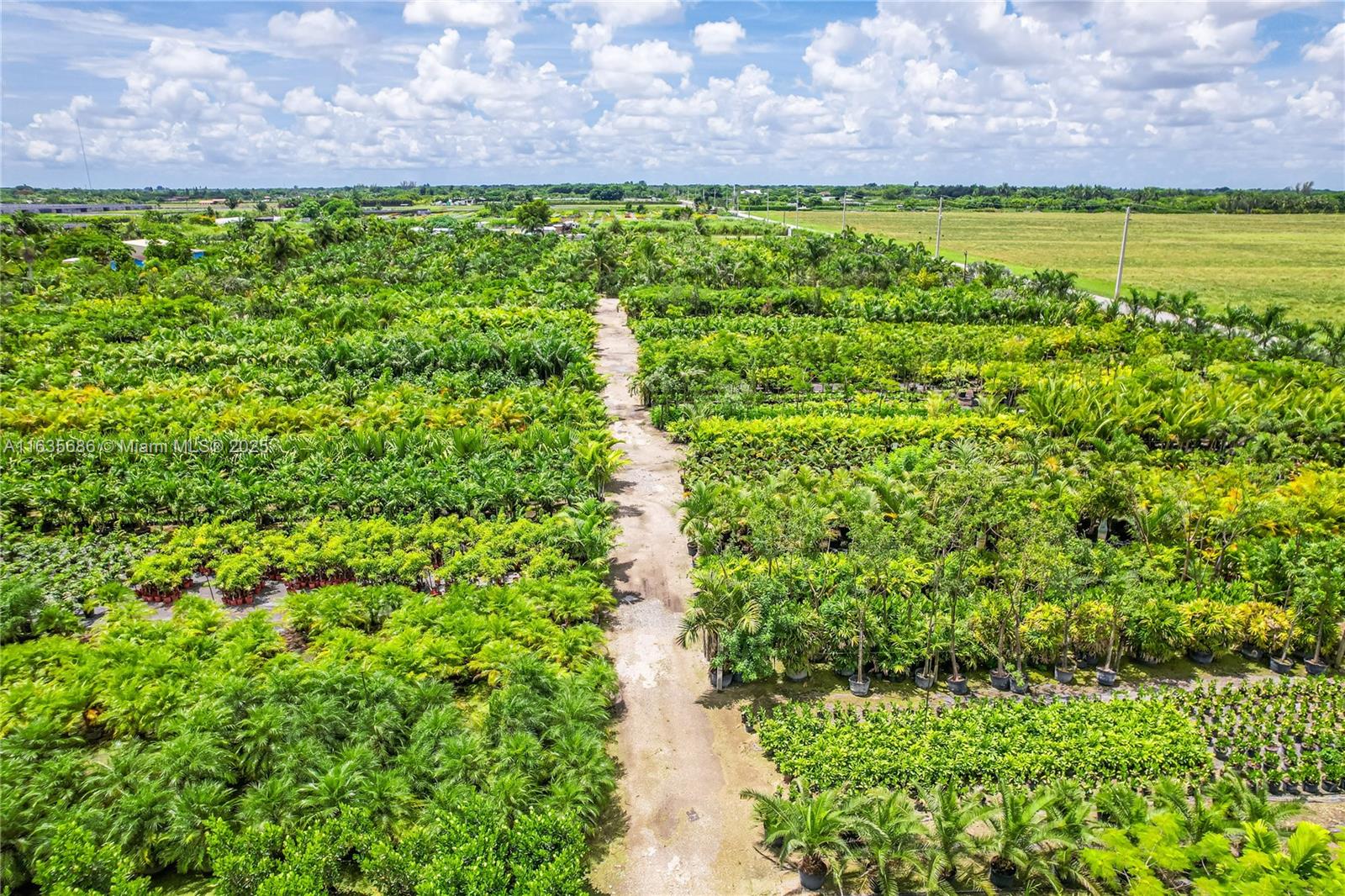 15 ACRES - Commercial Sale