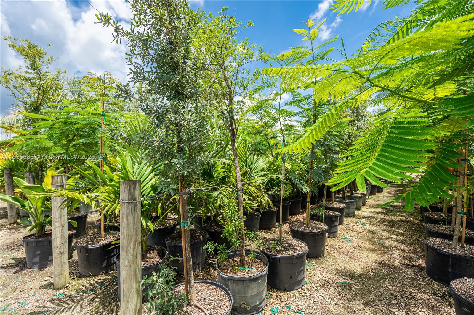 15 ACRES - Commercial Sale