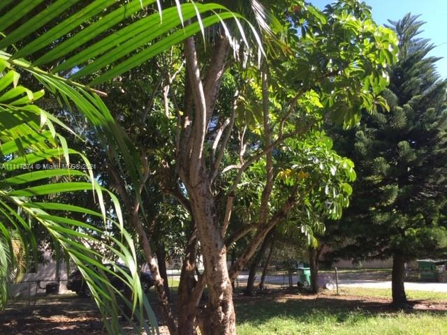 OJUS SUB - Residential Lease