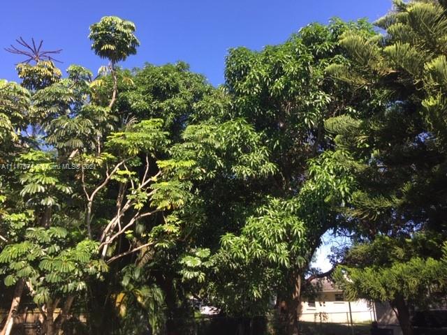 OJUS SUB - Residential Lease