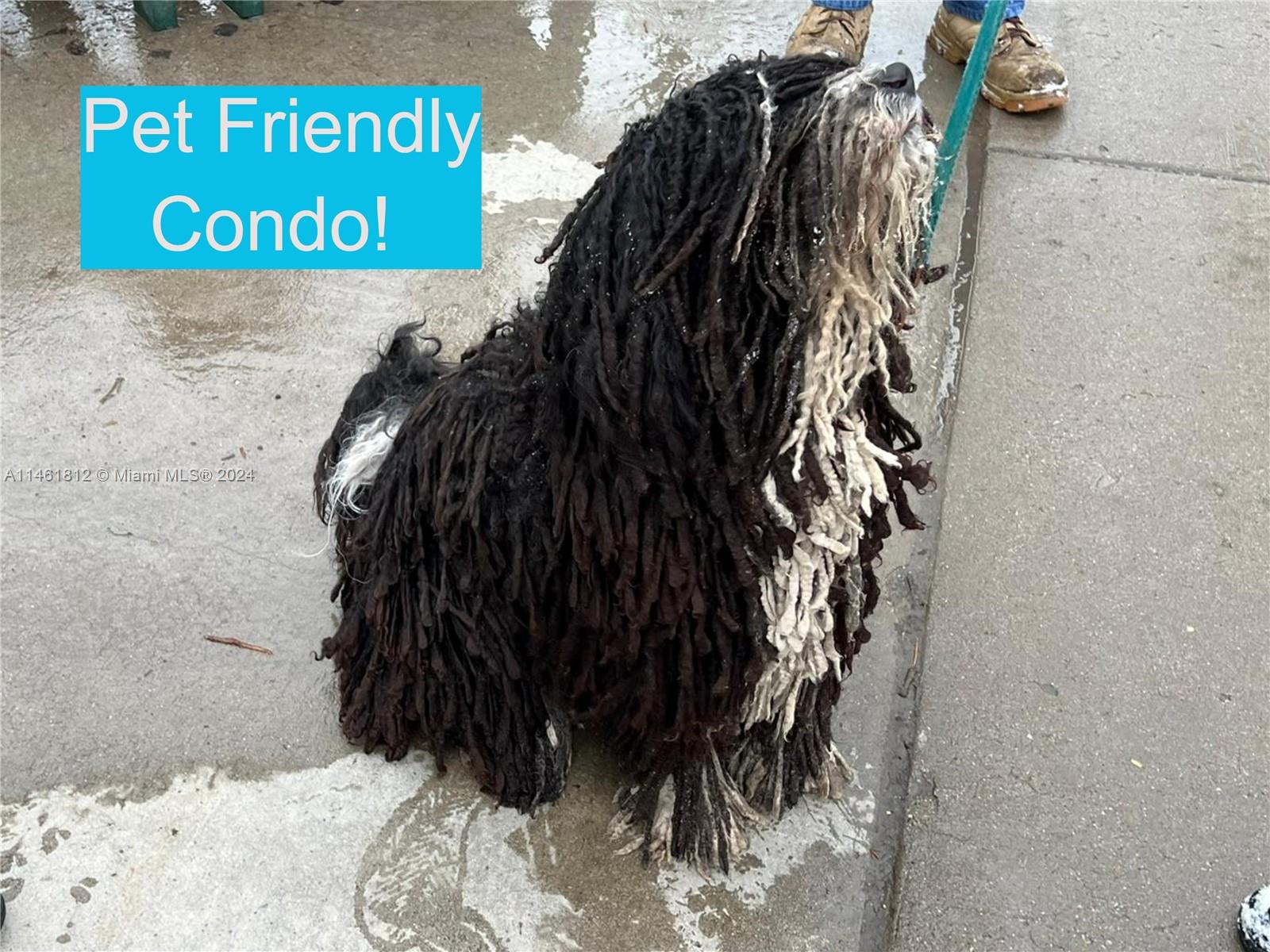 Singer Island, Florida, 33404, United States, 3 Bedrooms Bedrooms, ,3 BathroomsBathrooms,Residential,Active,1876706