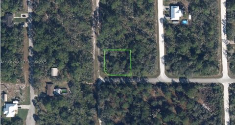 132 NW AUDREY AVE Lake Placid FL 33852