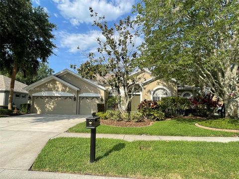 Single Family Residence in Tampa FL 10312 Greenhedges Drive Dr.jpg