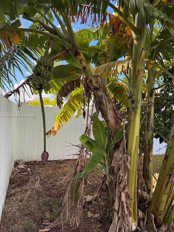 REESE ESTATES - Residential