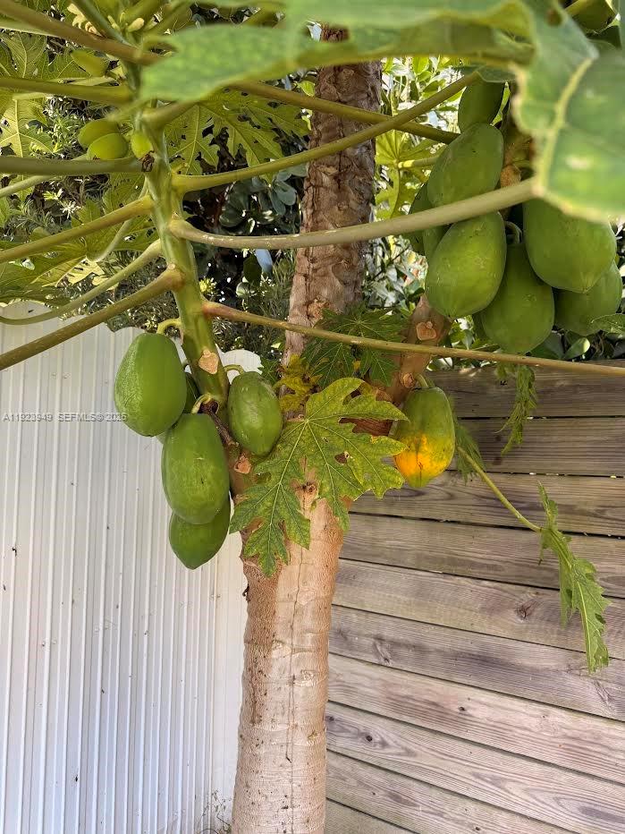 REESE ESTATES - Residential