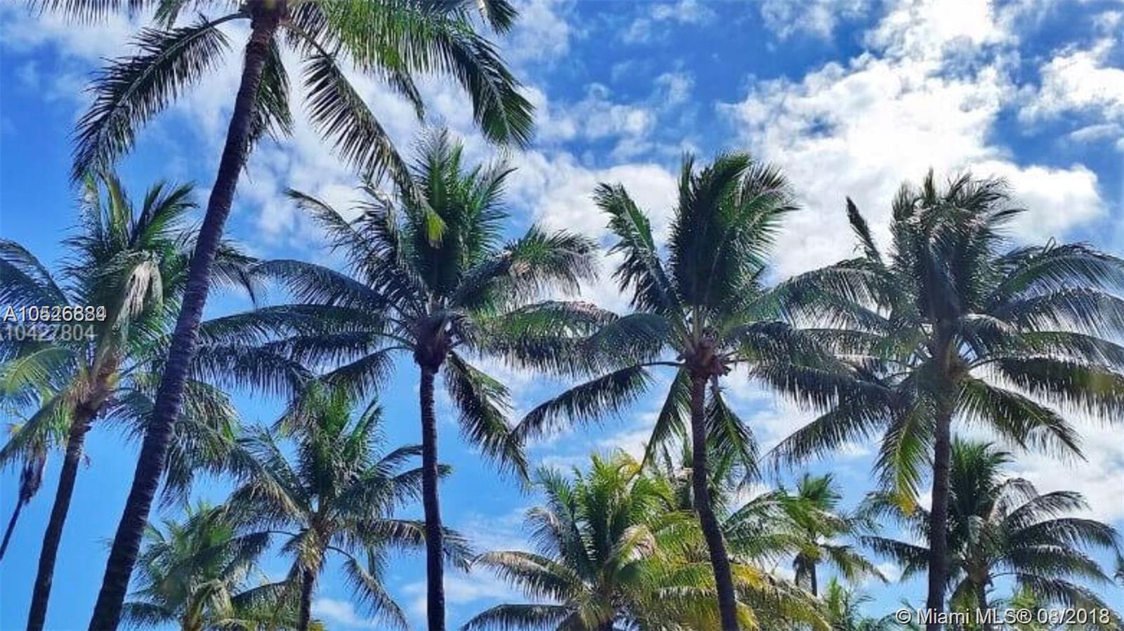 TRUMP ROYALE CONDO - Residential Lease