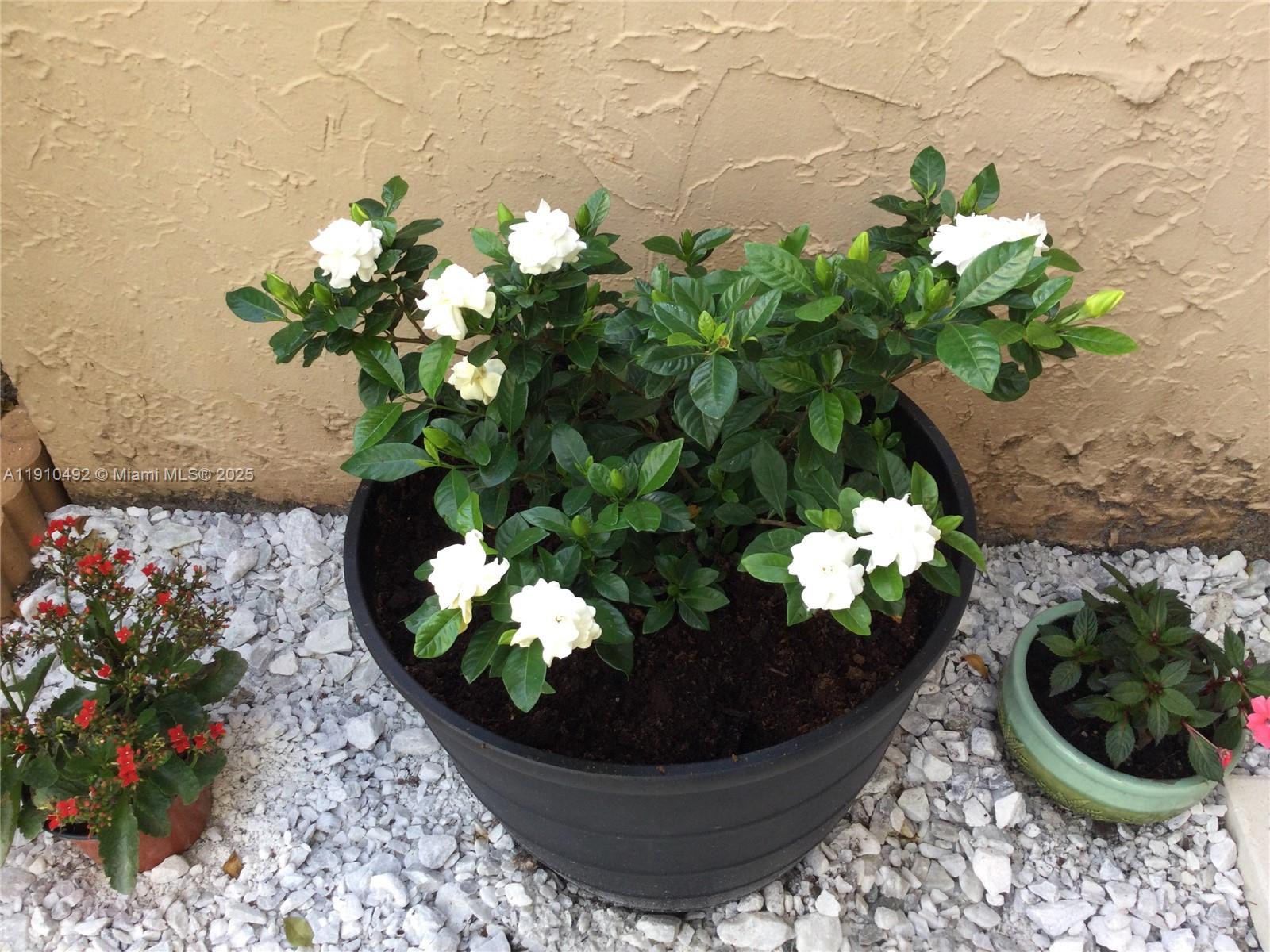 OAKBROOK IV V VI VII COND - Residential