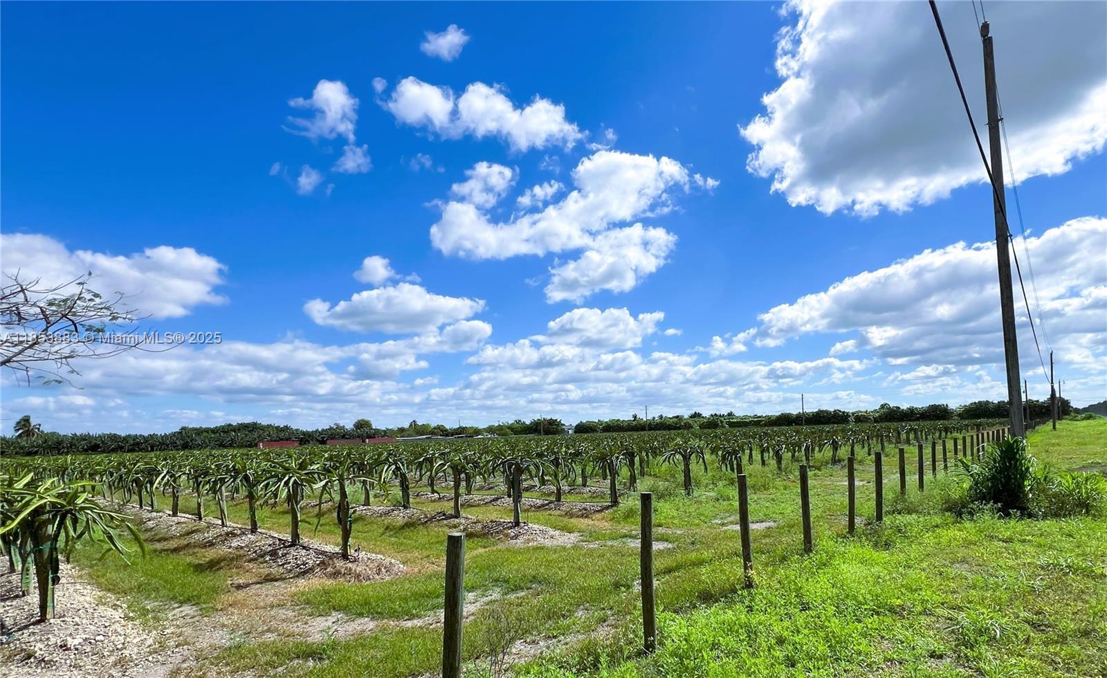 SPECTACULAR 10 ACRE AGRICULTURAL LAND ON A PRIME CORNER LOCATION! Located at the intersection of SW 197th Ave and SW 152nd St, this expansive property offers endless possibilities for development or farming. Situated in the heart of the Redland agricultural area, the land features well water irrigation, making it ideal for a variety of agricultural uses. With road access on two sides and plenty of open space, it's perfect for those seeking a unique investment opportunity or a future project.
Buyers are responsible for conducting their own due diligence regarding zoning and land use.