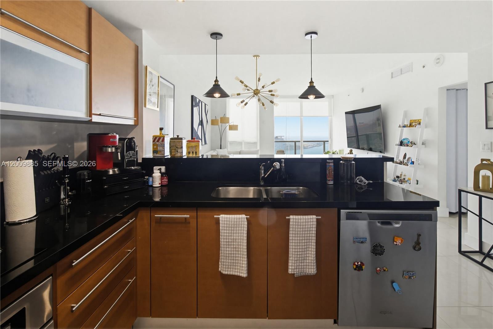 VIZCAYNE SOUTH CONDO - Residential