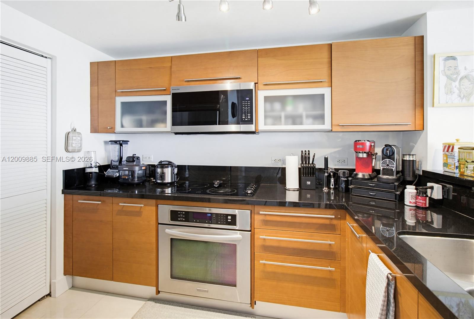 VIZCAYNE SOUTH CONDO - Residential