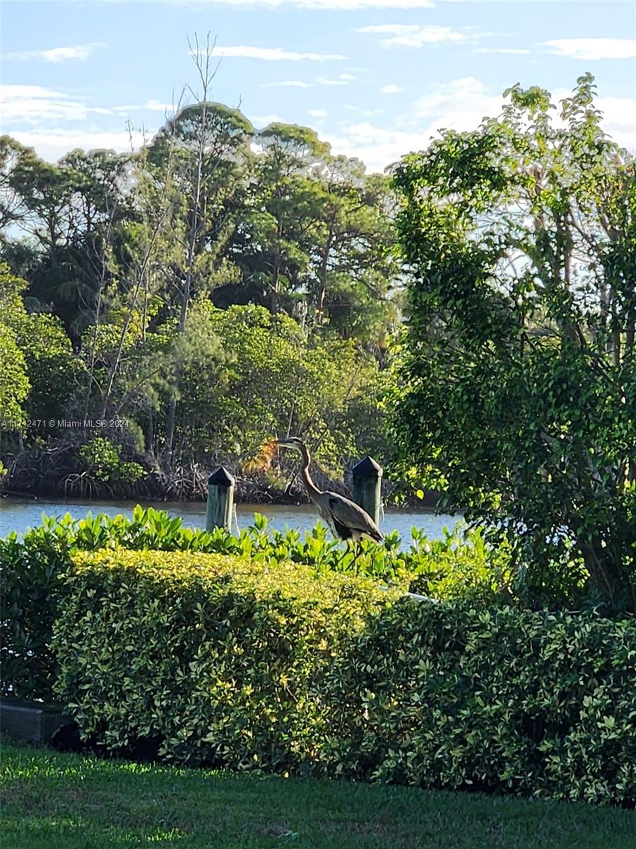 JUPITER RIVER ESTATES - Residential