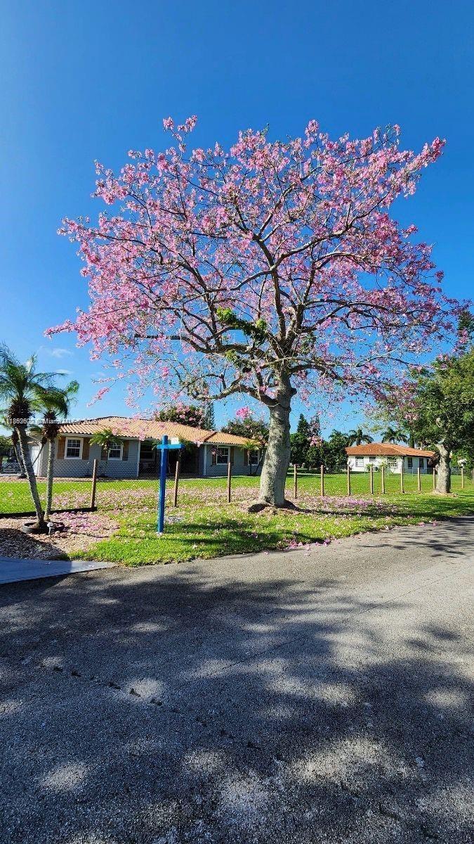 Bonanza Ranch Estates - Residential