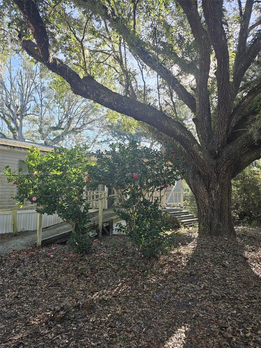 Masaryktown - Residential Lease