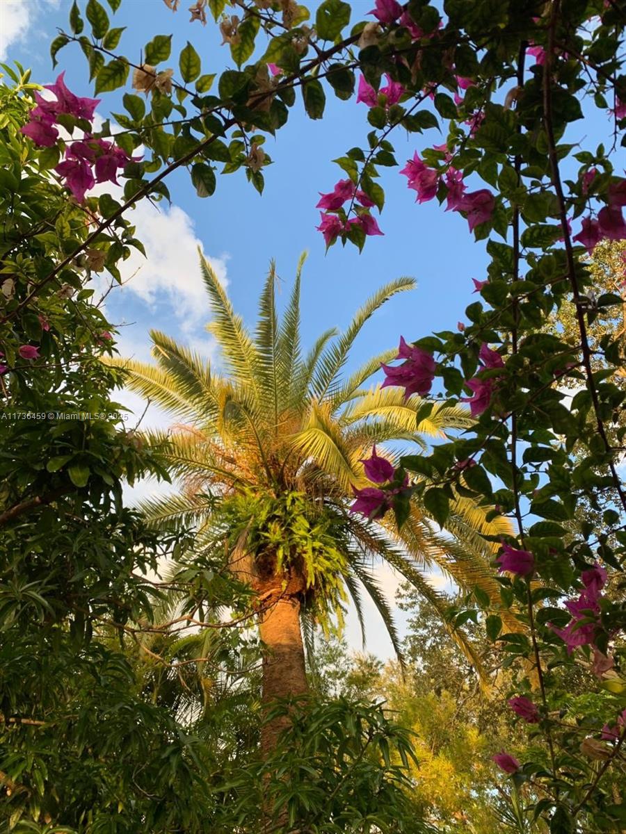 AQUA MARINE - Residential