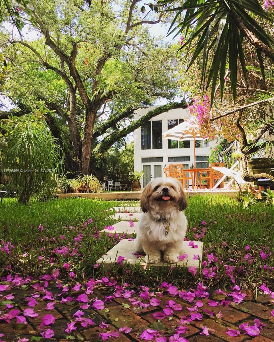 AQUA MARINE - Residential