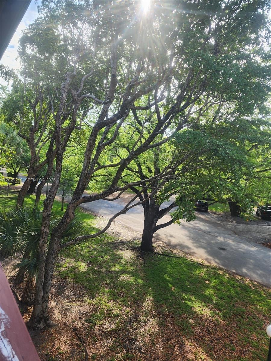 1205 Mariposa Ave 304, Coral Gables FL 33146