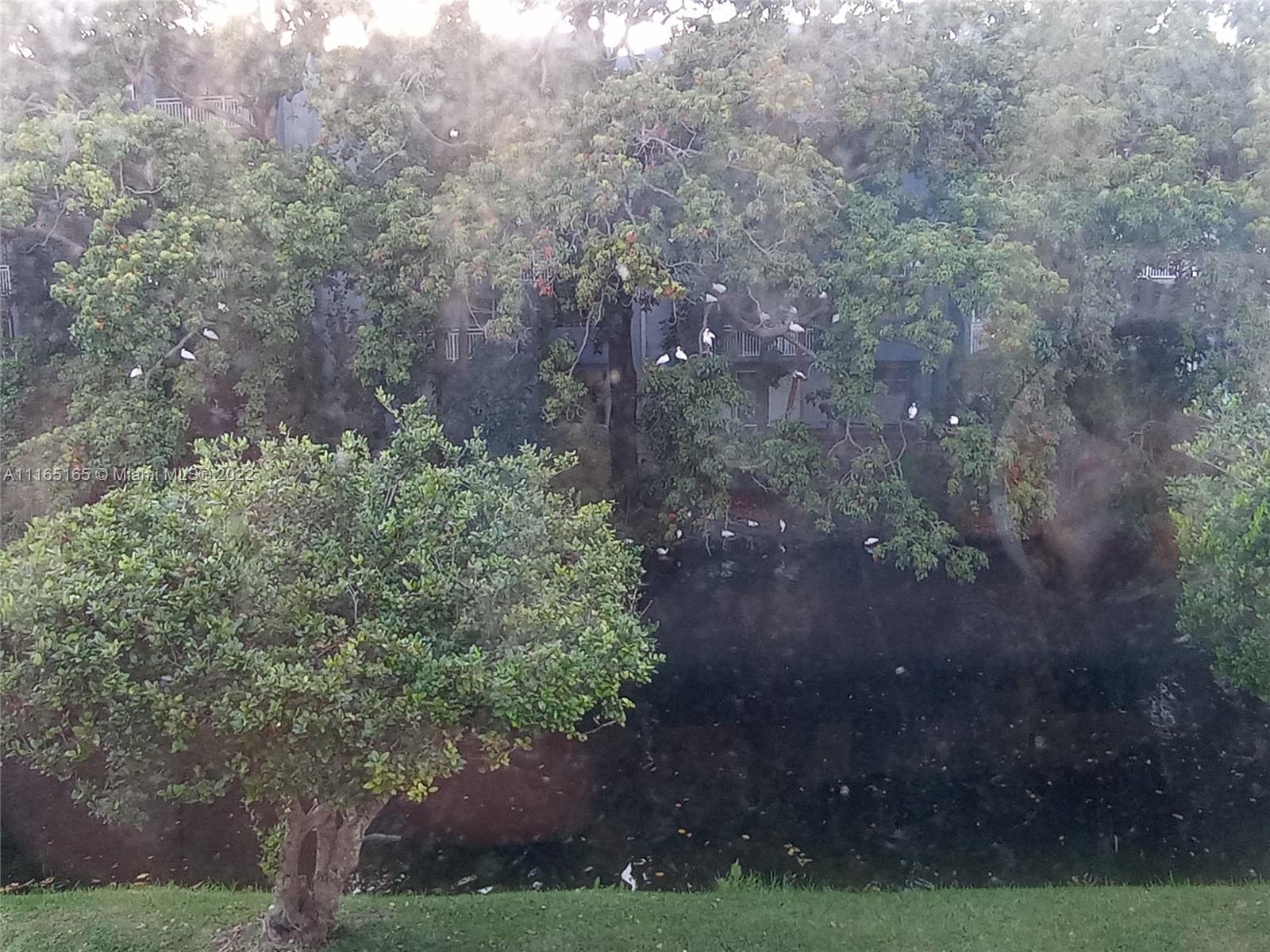 THE OAKVIEW CONDO NO 5 - Residential