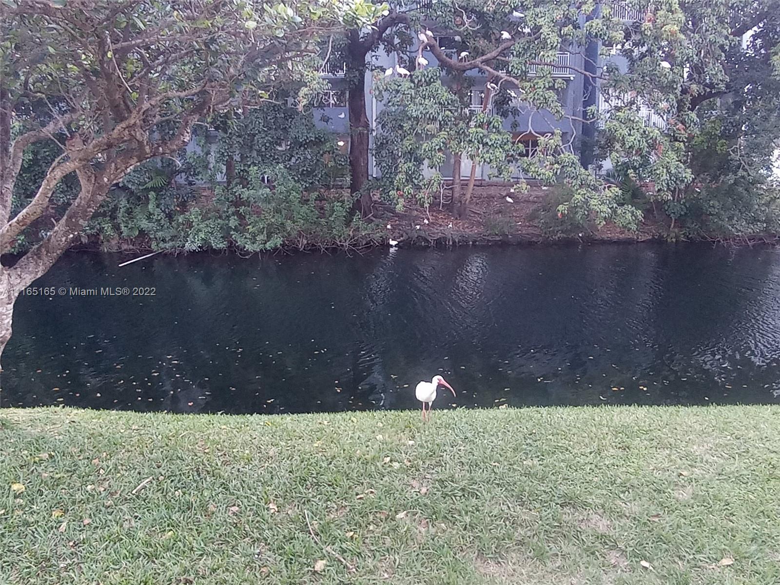 THE OAKVIEW CONDO NO 5 - Residential