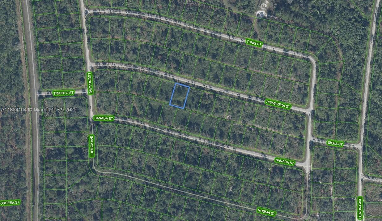 OWNER FINANCING AVAILABLE!!! 2K DOWN!! 275.24 A MONTH FOR 60 MONTHS AT 7%!!! Perfect opportunity to build your dream home in the Sun N' Lakes community, ideal for raising a family or retiring. This pond-front lot offers privacy with no homes behind you! Sun N' Lakes features 2 championship 18-hole golf courses, a restaurant, clubhouse, gym, playground, community pool, splash pad, fitness center, pickleball, and tennis courts. Conveniently located in Sebring, just 1.5 hours from Disney, Tampa, and Anna Maria Island beaches, and close to Advent Health and Sun N Lake Elementary. This large double lot can be divided into two homesites. Act fast—lots are selling quickly!
