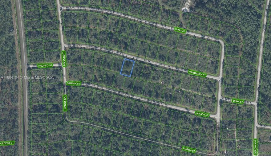 OWNER FINANCING AVAILABLE!!! 2K DOWN!! 275.24 A MONTH FOR 60 MONTHS AT 7%!!! Perfect opportunity to build your dream home in the Sun N' Lakes community, ideal for raising a family or retiring. This pond-front lot offers privacy with no homes behind you! Sun N' Lakes features 2 championship 18-hole golf courses, a restaurant, clubhouse, gym, playground, community pool, splash pad, fitness center, pickleball, and tennis courts. Conveniently located in Sebring, just 1.5 hours from Disney, Tampa, and Anna Maria Island beaches, and close to Advent Health and Sun N Lake Elementary. This large double lot can be divided into two homesites. Act fast—lots are selling quickly!