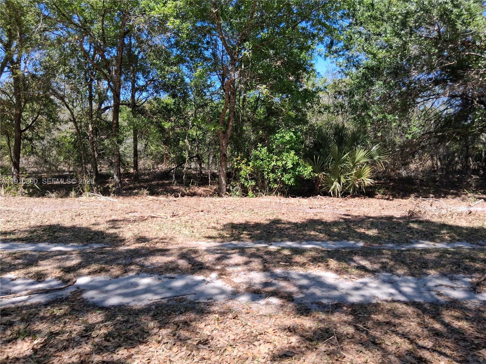 Avon Park Est Unit 1 - Land