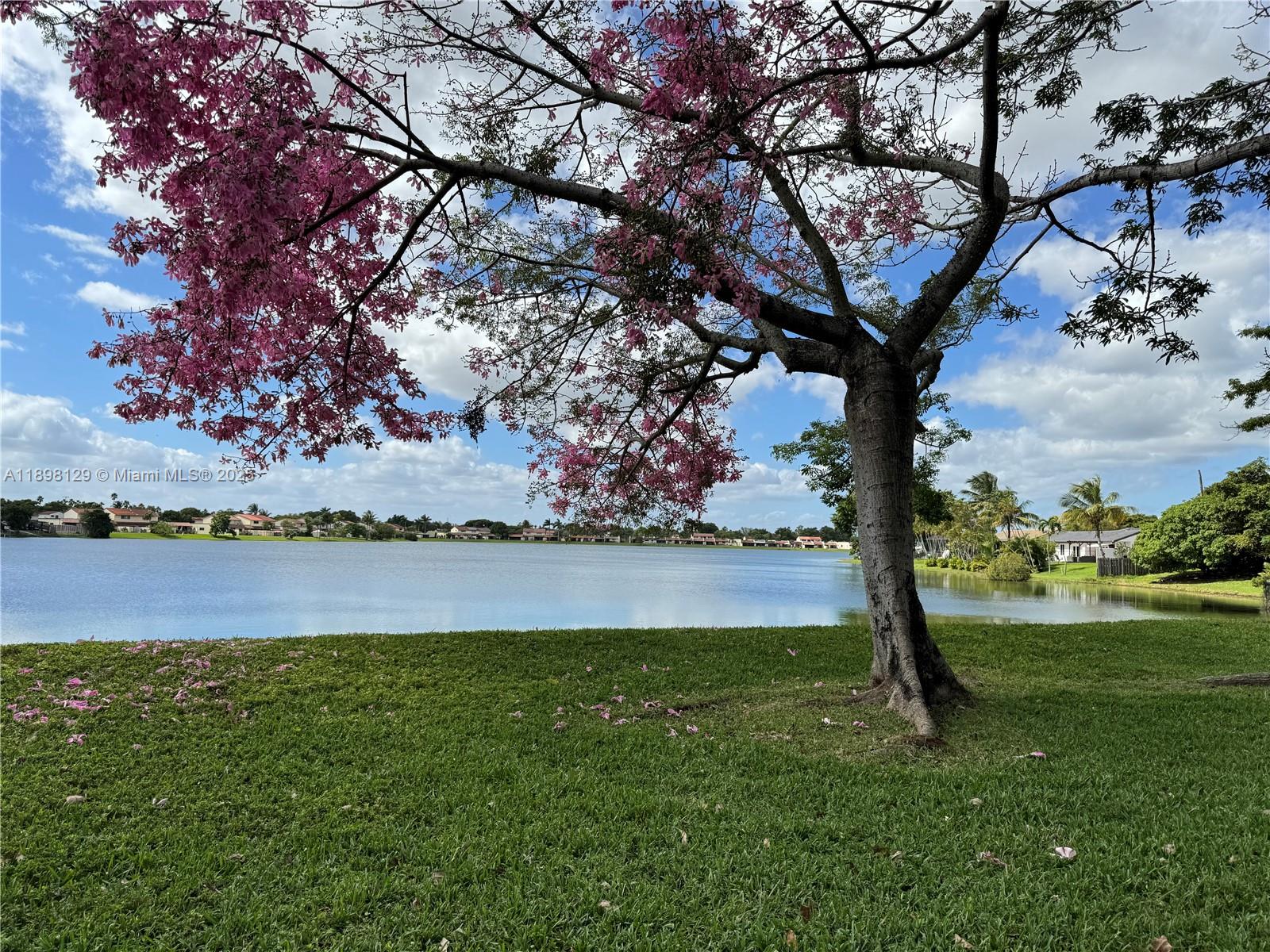 MIRASSOU CONDO - Residential Lease