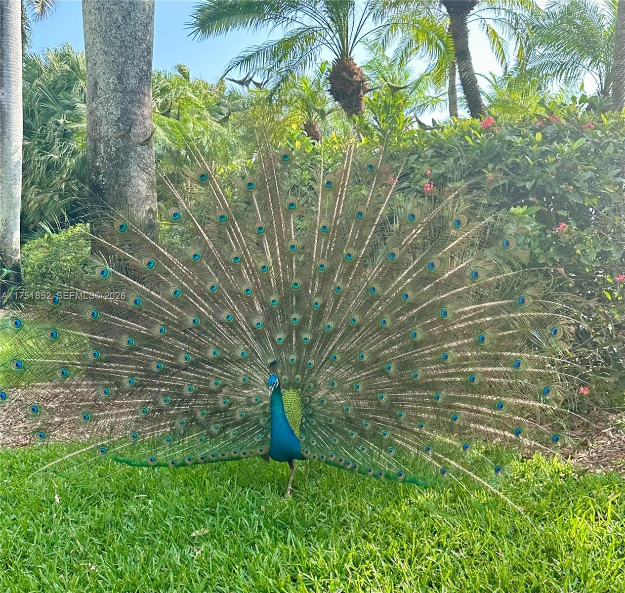 DEERING BAY CONDO II - Residential