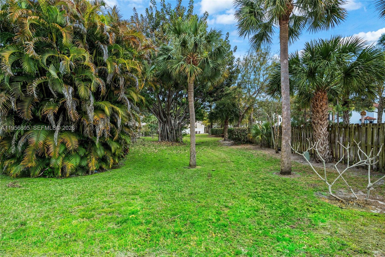 SUMMER WINDS OF JUPITER - Residential