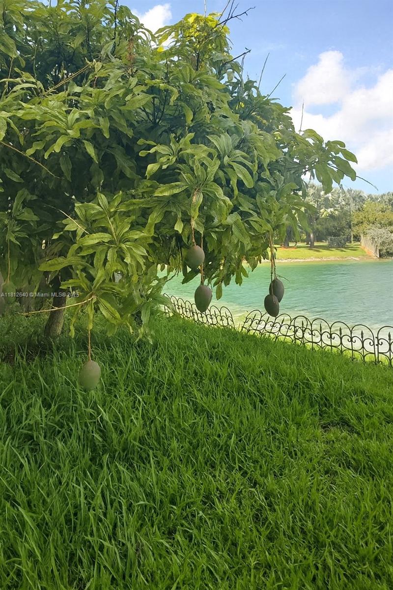 FLORIDIAN ISLES SOUTH - Residential