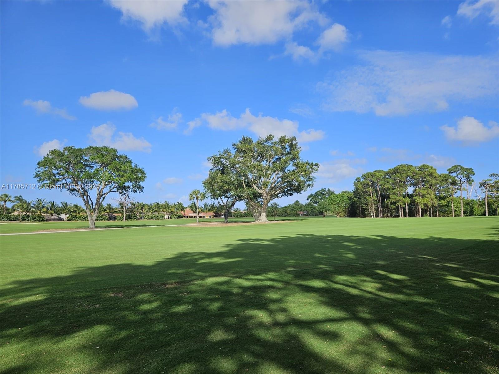 WHITEHALL CONDO AT CAMINO - Residential