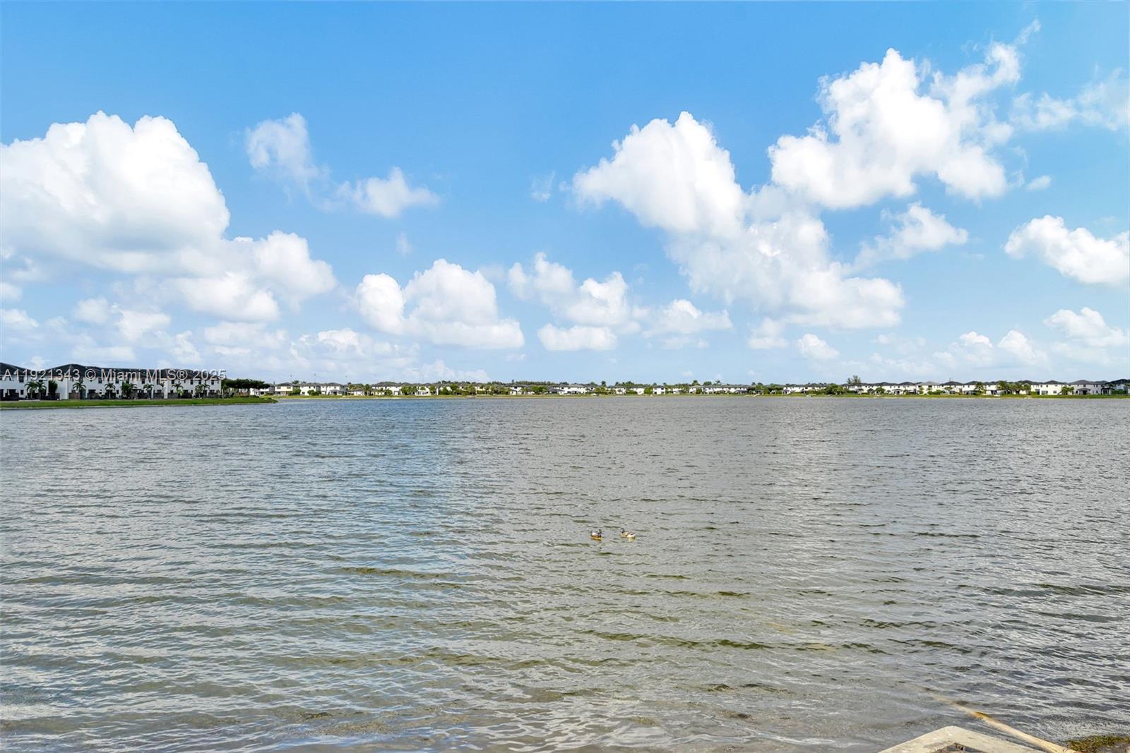 DUNNWOODY LAKE - Residential