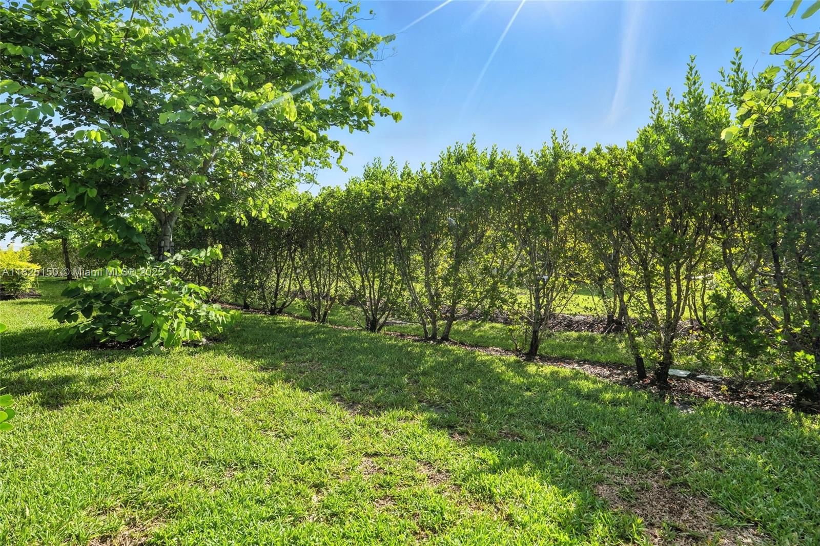 LINDSFORD - Residential