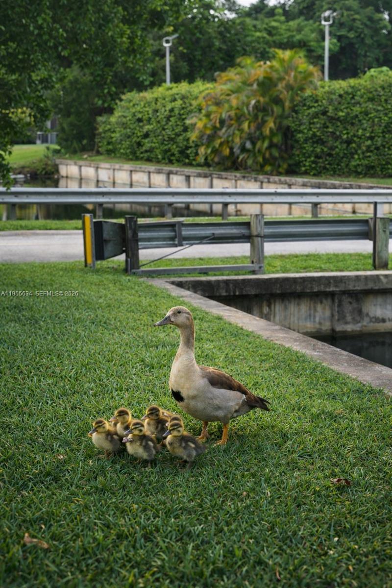 WOODLANDS SEC FIVE - Residential