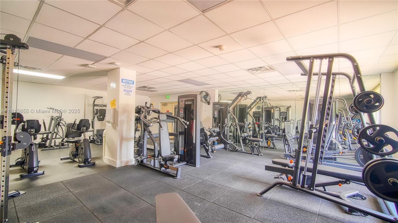 PLAYA DEL SOL CONDO - Residential Lease