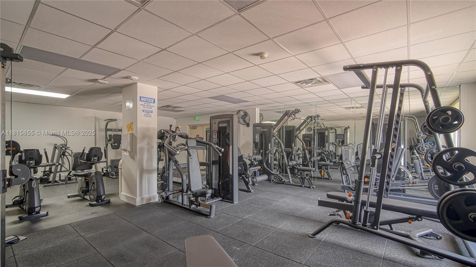 PLAYA DEL SOL CONDO - Residential Lease