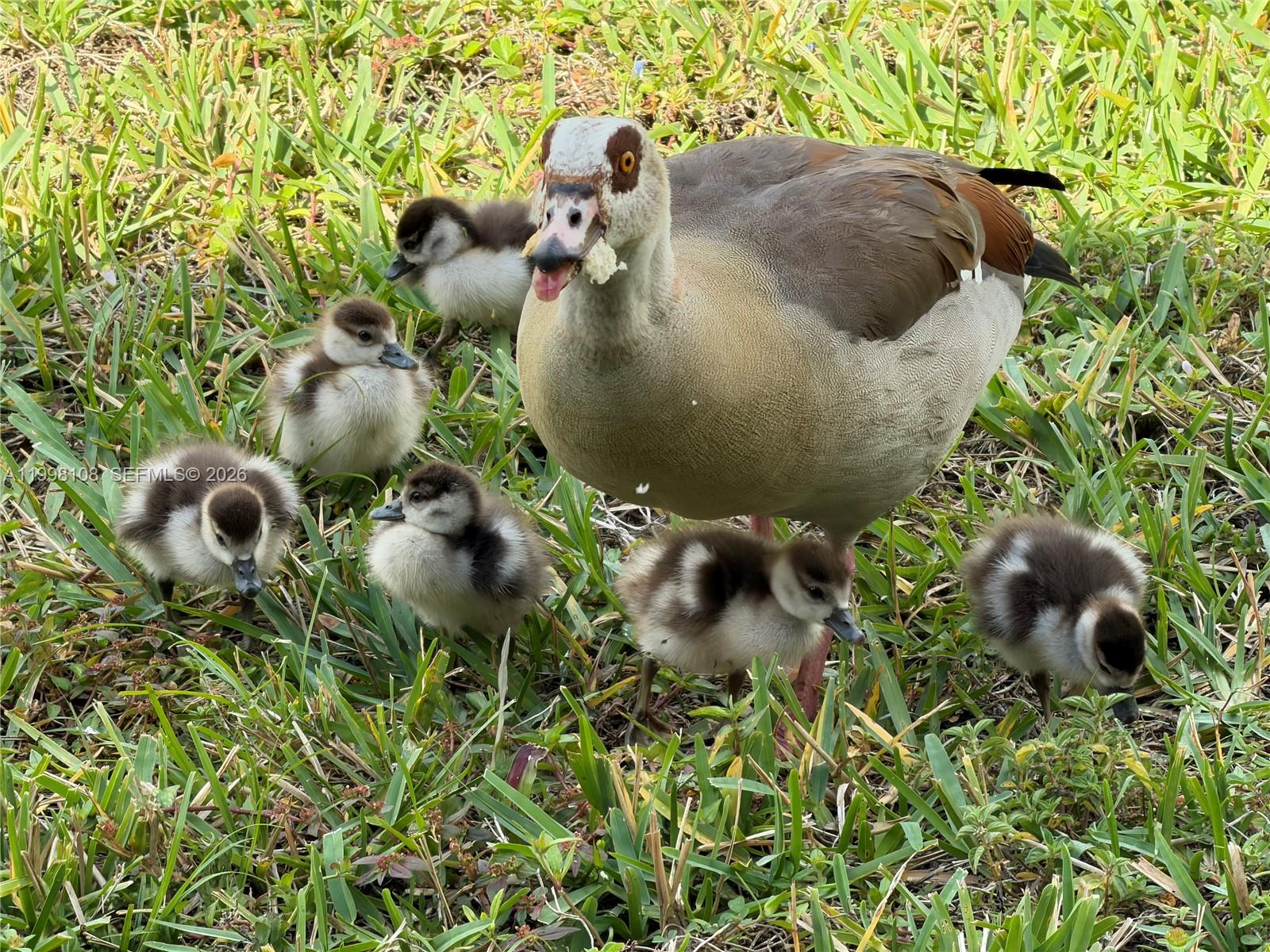 VILLAS OF BOCA DELRAY COND - Residential