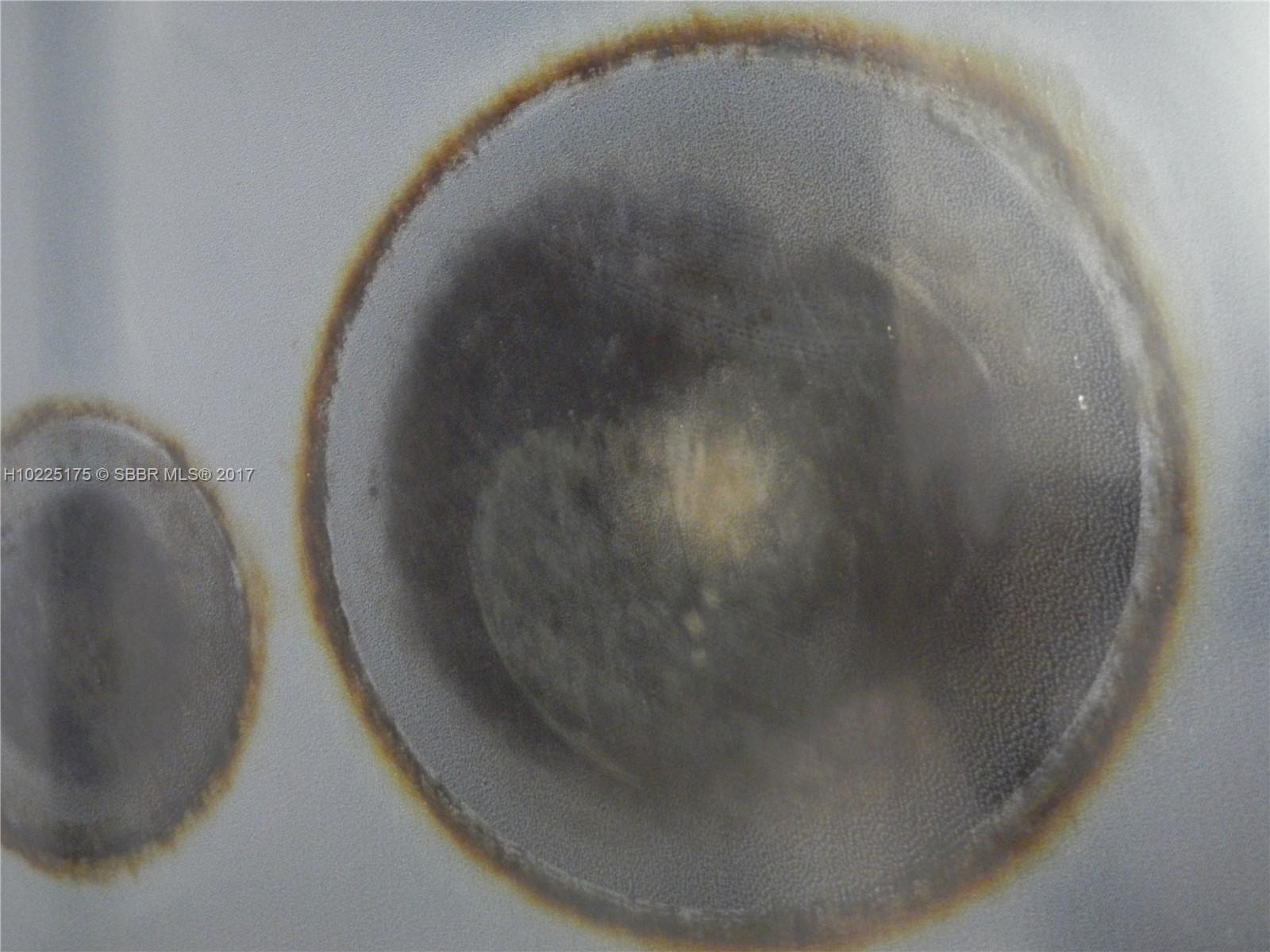 Arbor Keys Condo - Residential Lease